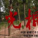 光棍儿：中国结不了婚的男人们