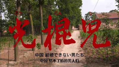 光棍儿：中国结不了婚的男人们的海报-正式海报