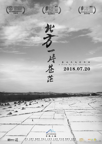 北方一片苍茫的海报-预告海报 中国大陆