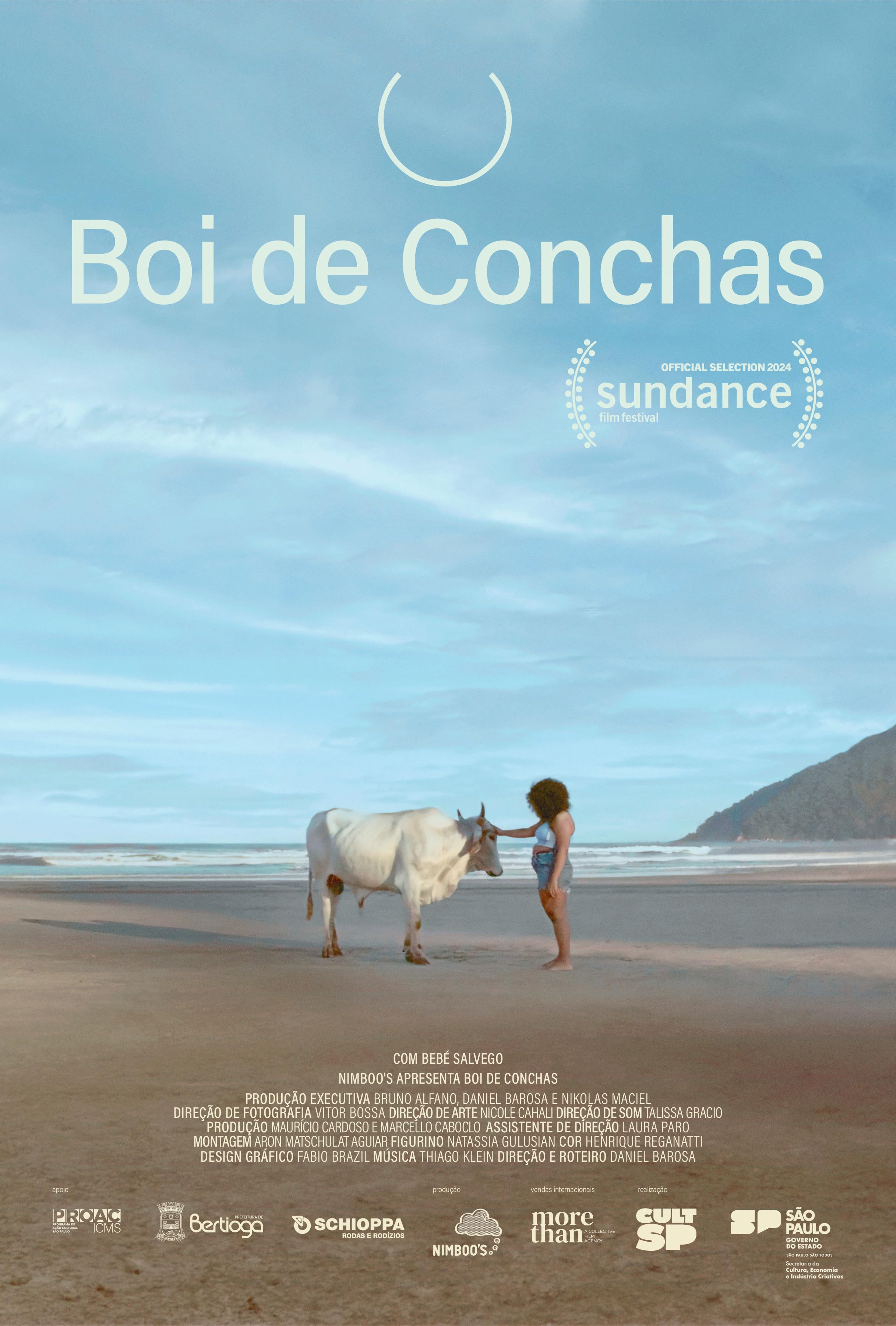 Boi de Conchas