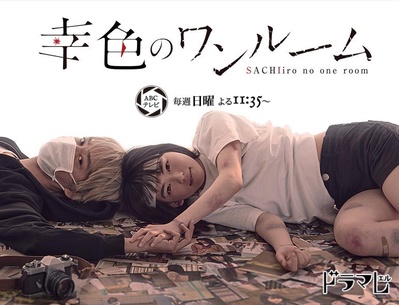 幸色的一居室的海报-正式海报
