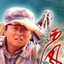 西风烈