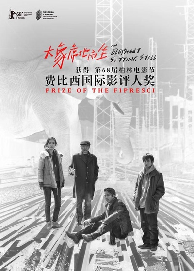 大象席地而坐的海报-其他海报