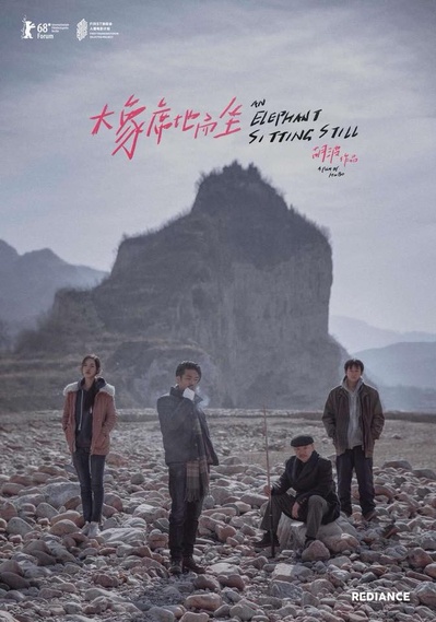 大象席地而坐的海报-其他海报