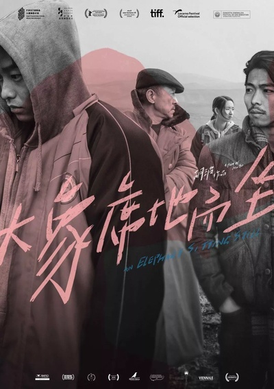 大象席地而坐的海报-其他海报 中国大陆