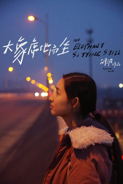 大象席地而坐的海报-角色海报