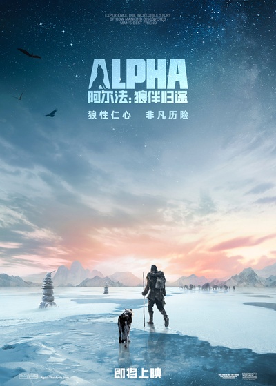 阿尔法：狼伴归途的海报-预告海报 中国大陆