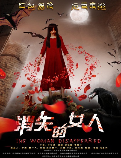 消失的女人的海报-正式海报