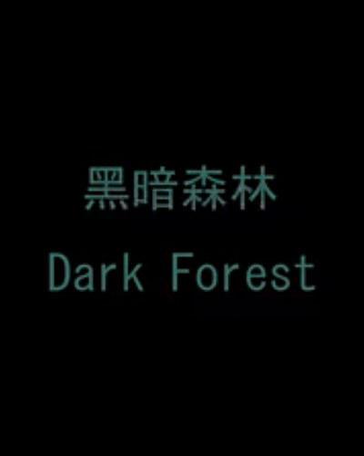 黑暗森林的海报-正式海报