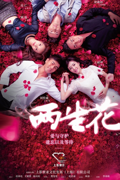 两生花的海报-正式海报 中国大陆
