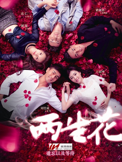 两生花的海报-正式海报 中国大陆