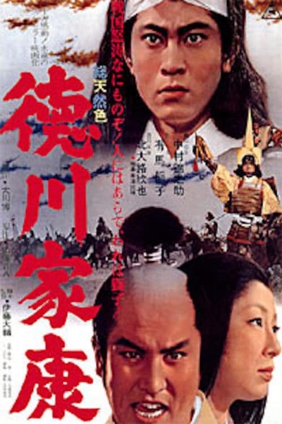 德川家康的海报-正式海报