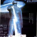 霹雳贝贝