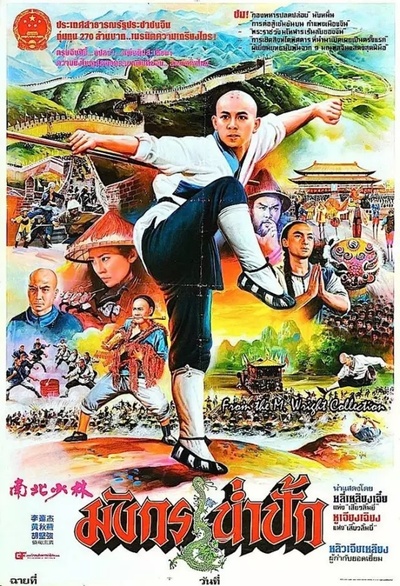 南北少林的海报-正式海报 泰国