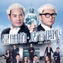 是咁的，法官阁下