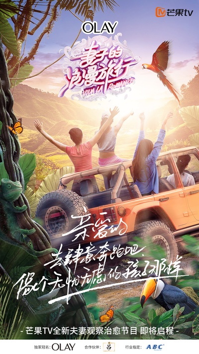 妻子的浪漫旅行的海报-其他海报