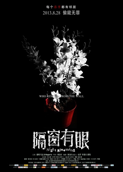 隔窗有眼的海报-预告海报 中国大陆