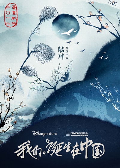 我们诞生在中国的海报-预告海报 中国大陆