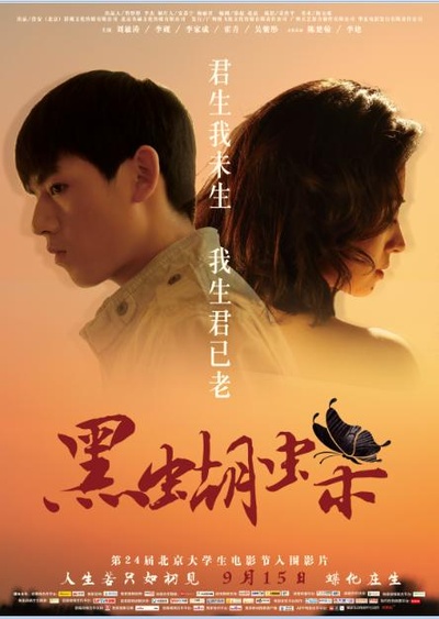 黑蝴蝶的海报-正式海报