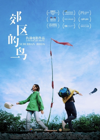 郊区的鸟的海报-预告海报 中国大陆