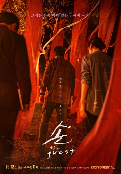 客：The Guest的海报-正式海报 韩国