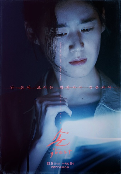 客：The Guest的海报-角色海报