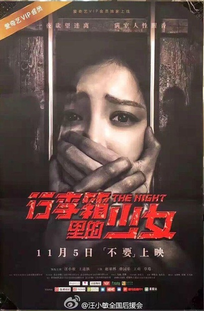 行李箱里的少女的海报-正式海报