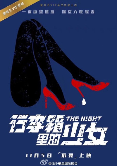 行李箱里的少女的海报-预告海报