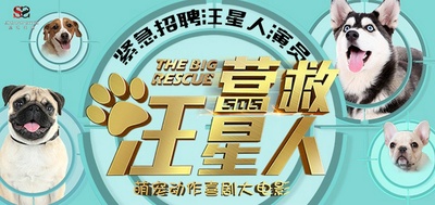 营救汪星人的海报-正式海报