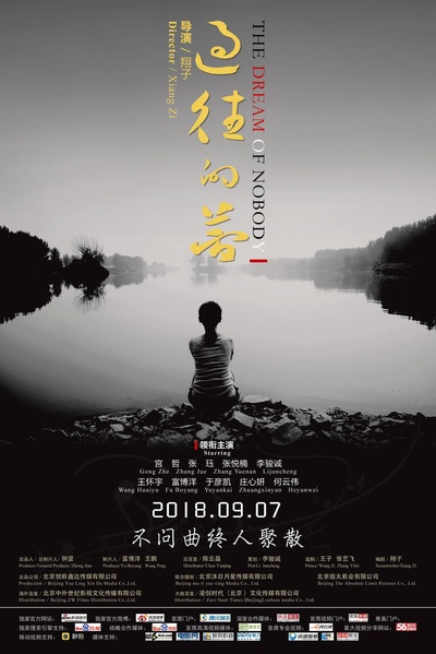 过往的梦的海报-正式海报