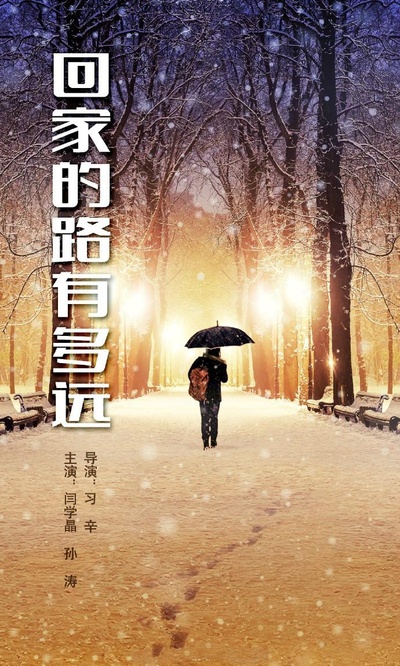 回家的路有多远的海报-正式海报