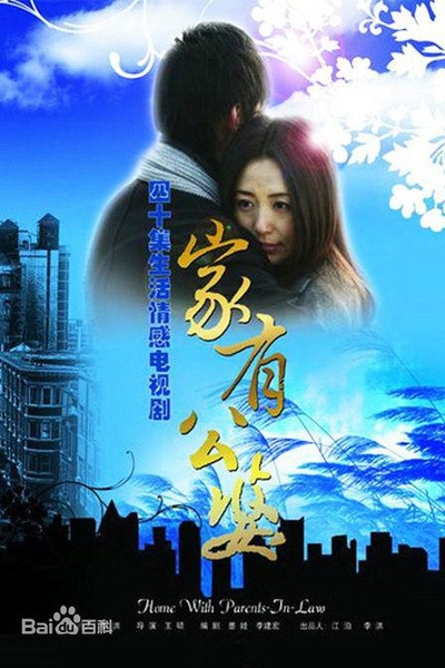 家有公婆的海报-正式海报