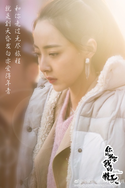 你的名字我的姓氏的海报-正式海报