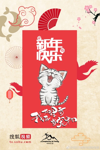我在大理寺当宠物的海报-其他海报