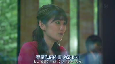 金装律师(日版)的海报-角色海报 泉里香 饰 梅宫茜