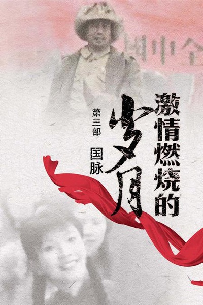 激情燃烧的岁月3的海报-正式海报