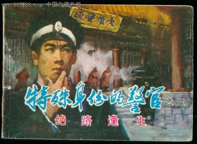 特殊身份的警官的海报-其他海报
