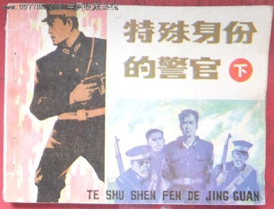 特殊身份的警官的海报-其他海报