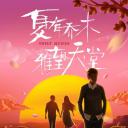 夏有乔木 雅望天堂