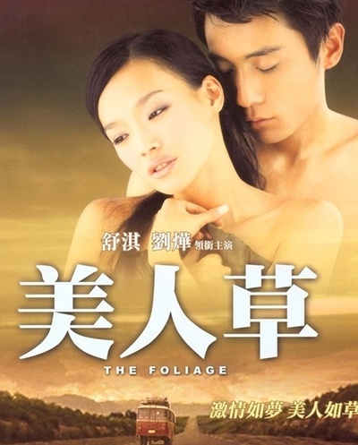 美人草的海报-正式海报