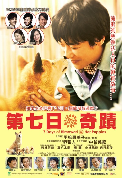 向日葵与幼犬的7天的海报-正式海报 香港