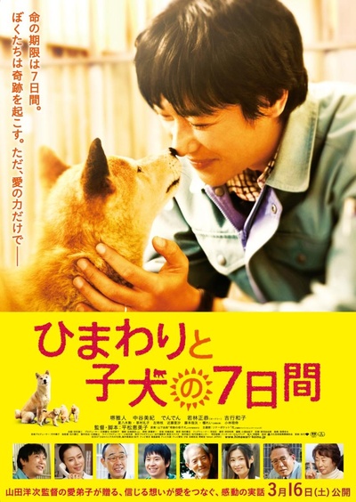 向日葵与幼犬的7天的海报-正式海报 日本