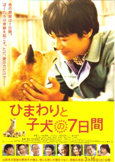 向日葵与幼犬的7天的海报-正式海报 日本