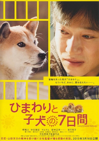 向日葵与幼犬的7天的海报-正式海报 日本