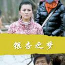 银杏之梦