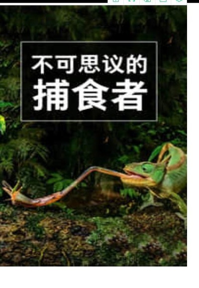 不可思议的捕食者的海报-正式海报