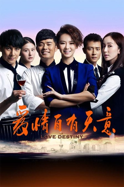 爱情自有天意的海报-正式海报