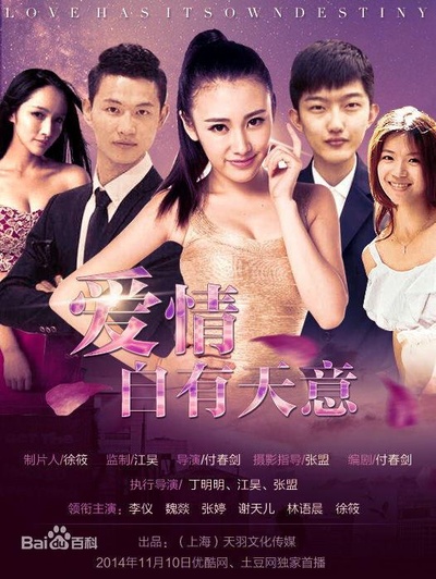 爱情自有天意之网络剧的海报-正式海报