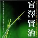 宫泽贤治 - 这就是爱