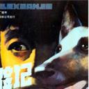 狼犬历险记
